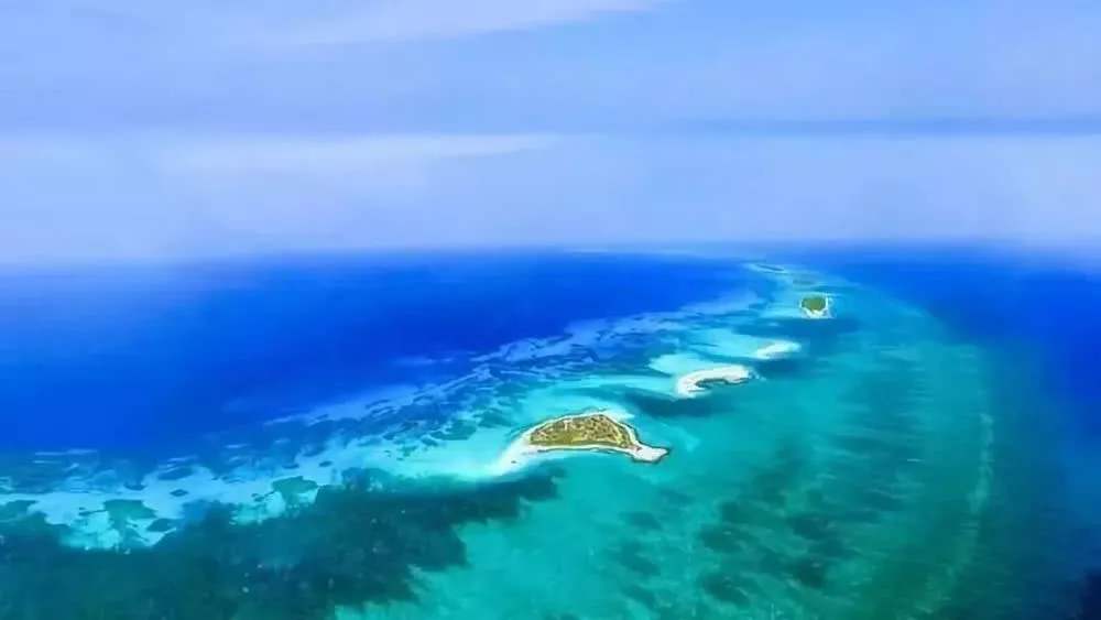 “海南自由港”震撼登場!40個亮點東方和利帶你一文看懂